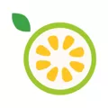 番石榴