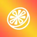 橘子 VPN