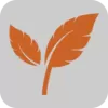 秋叶TV