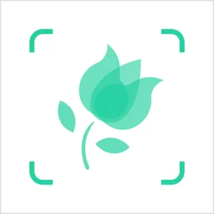 植物养护指南